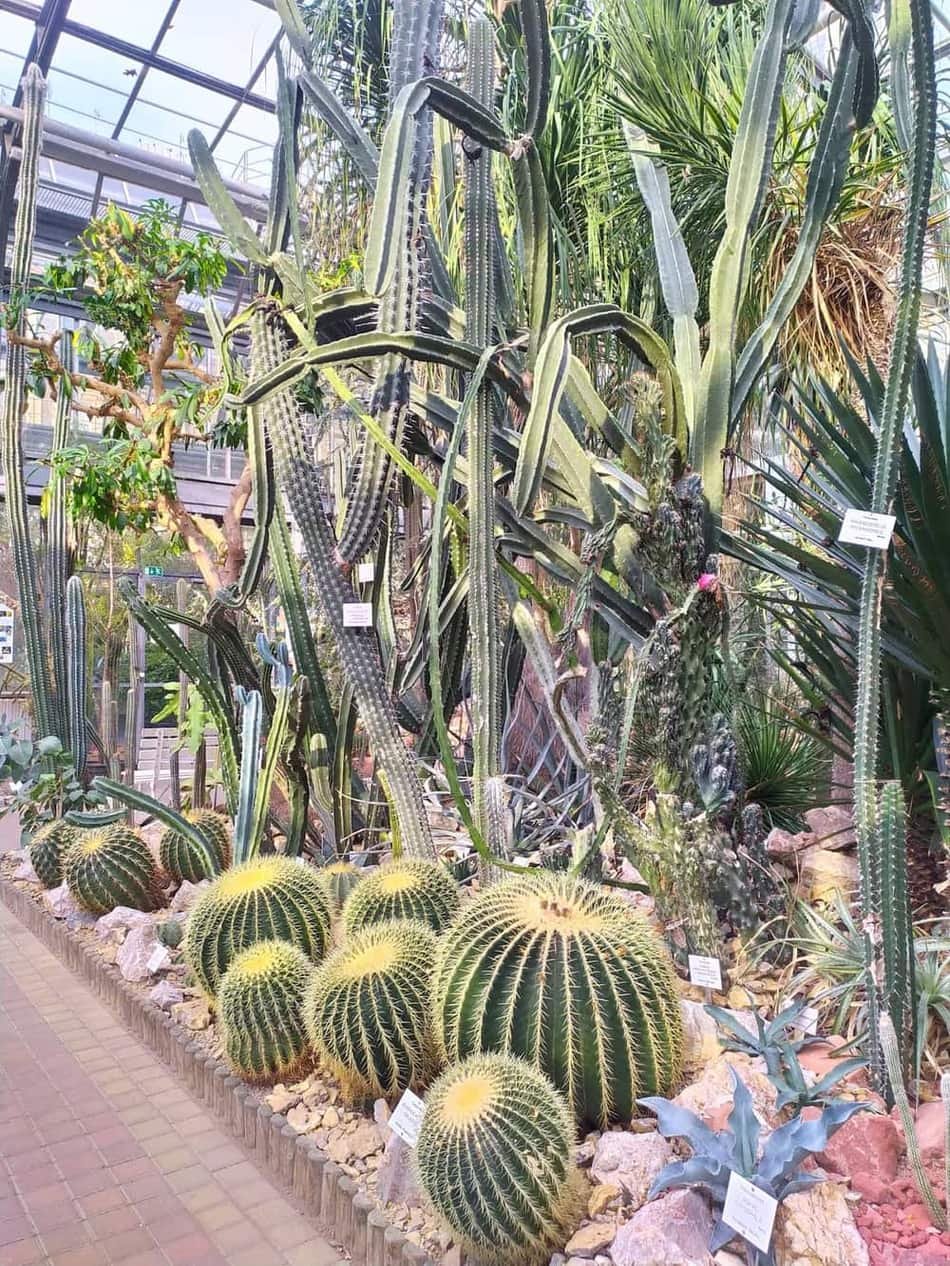 Botanic Garden of the Faculty of Science, Charles University — 3