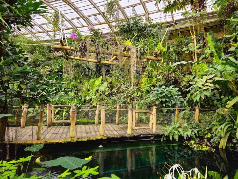Botanical Garden of the City Prague — 2