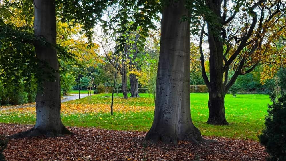 Chotek Gardens — 2
