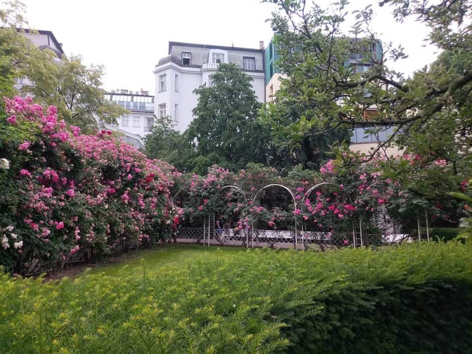 Franciscan Gardens — 3