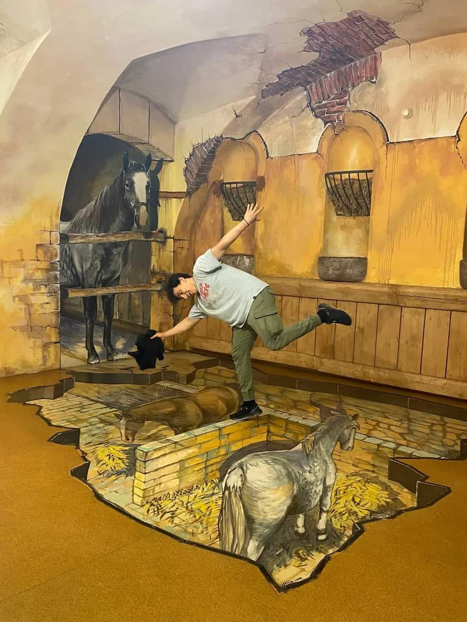 Museum of Senses — 3