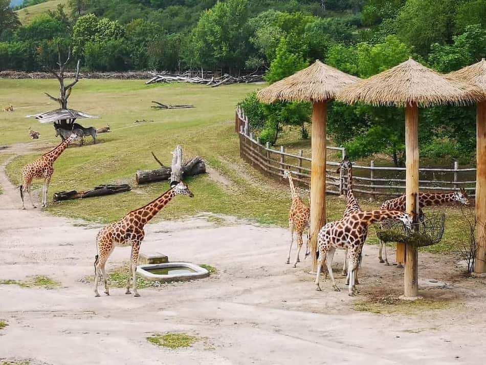 Nature Park Draháň-Troja — 2