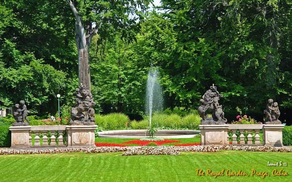 The Royal Garden — 2