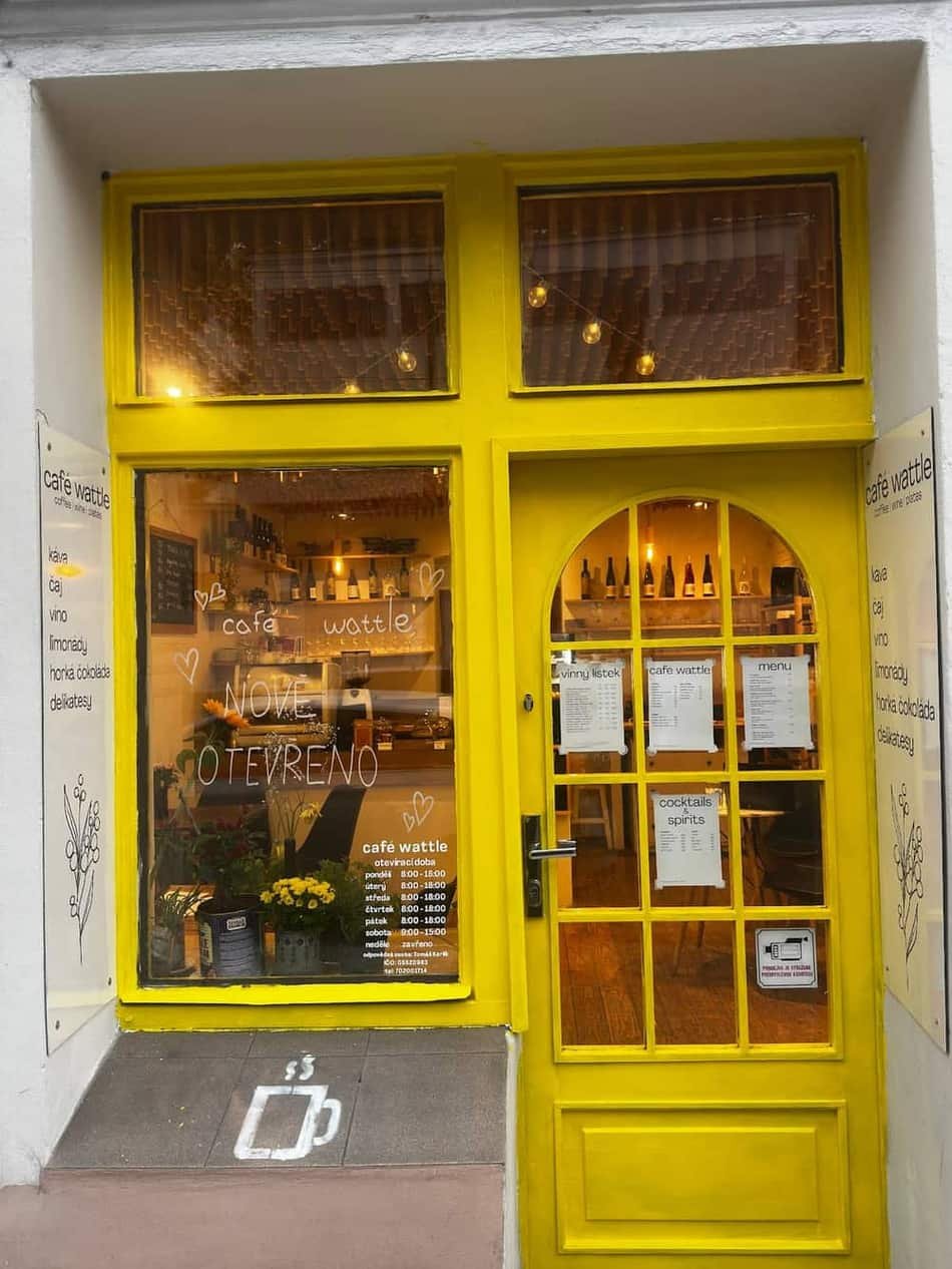 café wattle