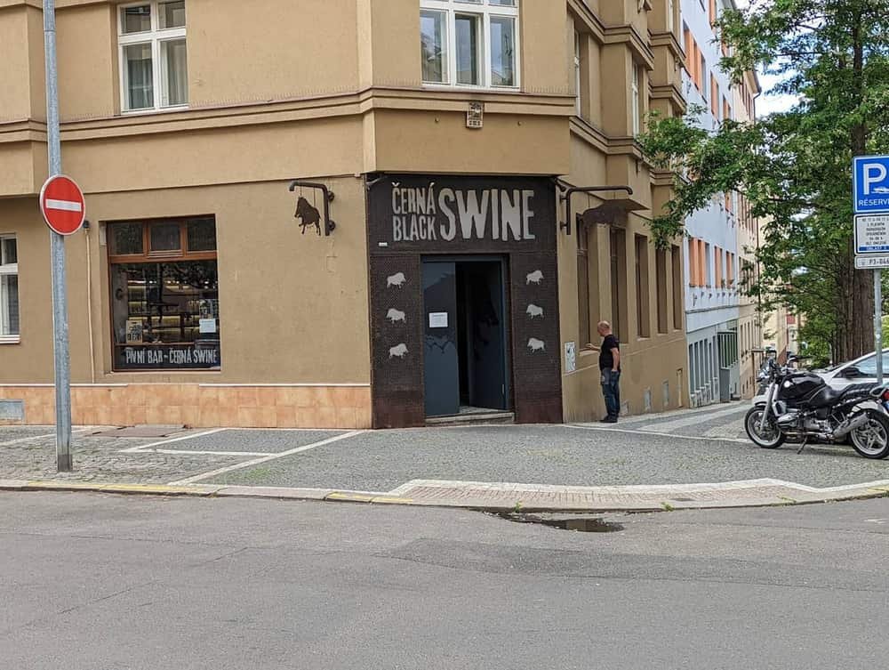 Černá svině