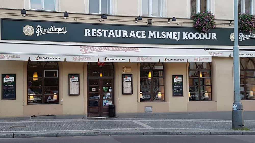 Mlsnej Kocour